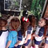  - Centro de Educa��o Infantil Passionista Jo�o Paulo II