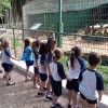  - Centro de Educa��o Infantil Passionista Jo�o Paulo II