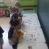  - Centro de Educa��o Infantil Passionista Jo�o Paulo II